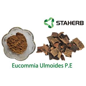 Eucommia Ulmoides P.E
