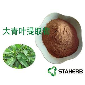 Folium Isatidis Extract