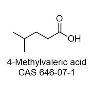 4-Methylvaleric acid