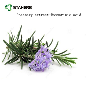 Rosemary Extract powder Carnosic acid powder
