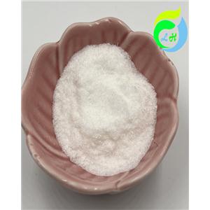 Dimethocaine Hydrochloride