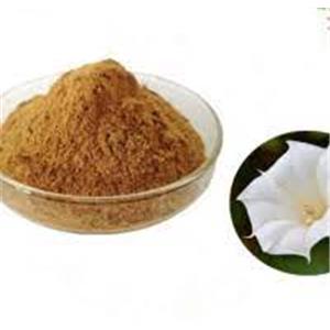 Flos Daturae Extract