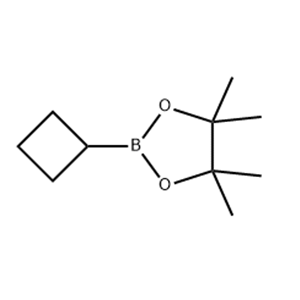 Cyclobutylboronic acid pinacol ester