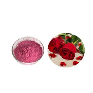 Rose enzyme powder