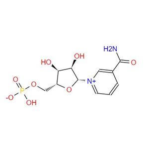 β-Nicotinamide Mononucleotide; NMN
