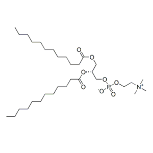 1,2-DILAUROYL-SN-GLYCERO-3-PHOSPHOCHOLINE