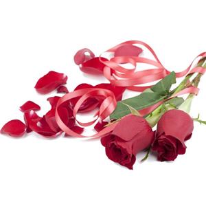 Rose Oil；Rose extract; Rose powder extract