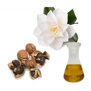 Camellia seed oil