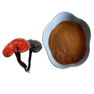 Ganoderma Extract