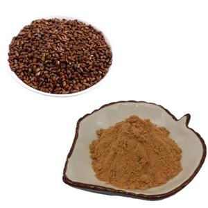 Cassia seed extract Total Anthraquinone 10%