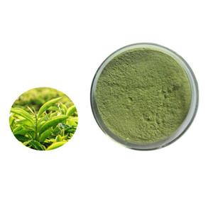 Green tea powder; Instant green tea powder