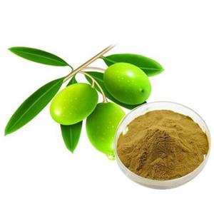 Olive leaf extract