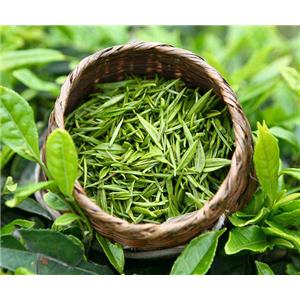 L-Epicatechin; Green tea extract