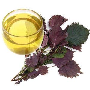 Purple Perilla Seed Oil