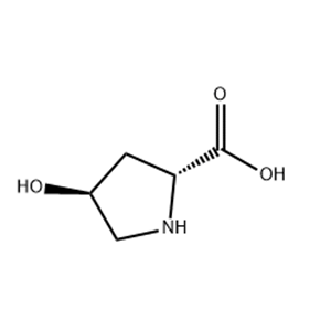 trans-4-Hydroxy-D-proline