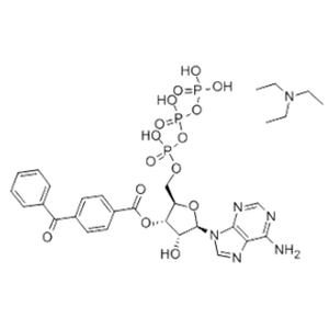 2'(3')-O-(4-Benzoylbenzoyl)adenosine 5'-triphosphate triethylammonium salt >