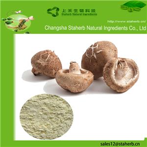 Shiitake mushroom extract powder