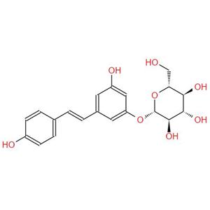 Trans-polydation; Polydatin