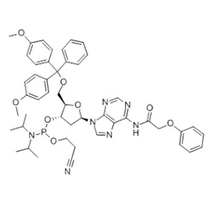 5'-O-DMT-N6-Phenoxyacetyl-2'-deoxyadenosine 3'-CE phosphoramidite