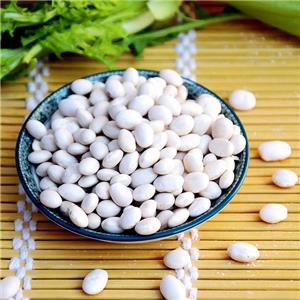 Phaseollin; White Kidney Bean Extract