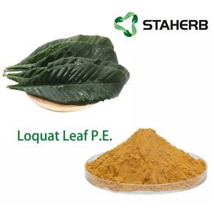 Loquat Leaf P.E.
