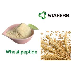 GLUTEN; Wheat peptide