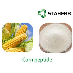 Corn peptide