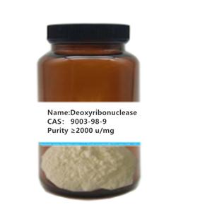 Deoxyribonuclease I from bovine pancreas