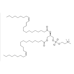 1,2-DI13-CIS-DOCOSENOYL-SN-GLYCERO-3-PHOSPHOCHOLINE