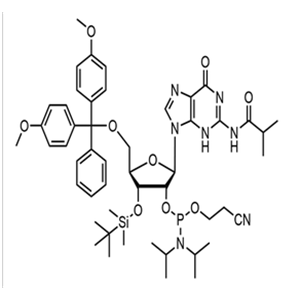 3'-TBDMS-ibu-rG Phosphoramidite