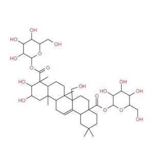 Panax Ginseng extract