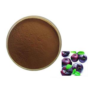 Black plum powder