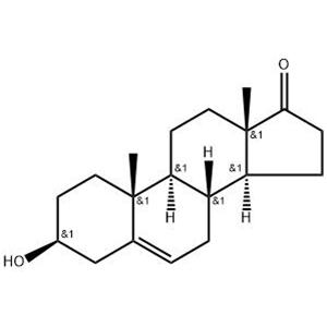 DHEA; Dehydroepiandrosterone