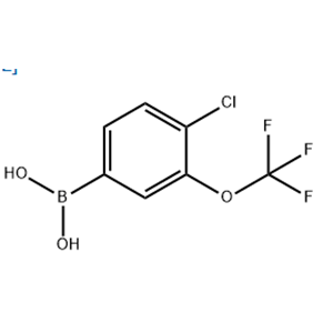 [4-chloro-3-(trifluoromethoxy)phenyl]Boronic acid