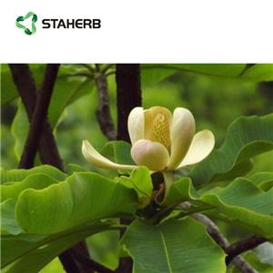 MAGNOLIABARKEXTRACT