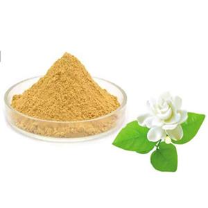 Jasmine powder; Jasmine extract