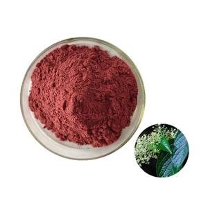 Celastrol; Common Threewingnut root extract
