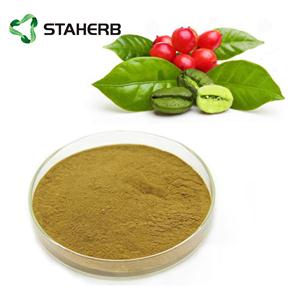 Chlorogenic acid; Green coffee bean extract