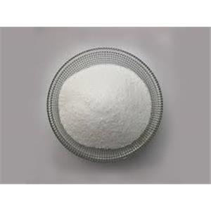 Pramiracetam Powder