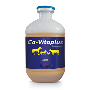 Calcium gluconate VD3 oral liquid