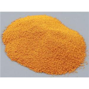 Coenzyme  Q10