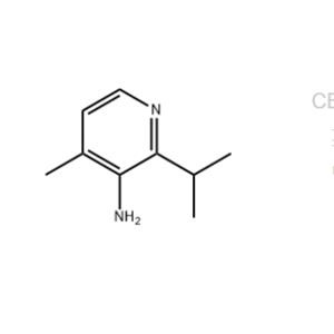 2-ISOPROPYL-4-METHYLPYRIDIN-3-AMINE