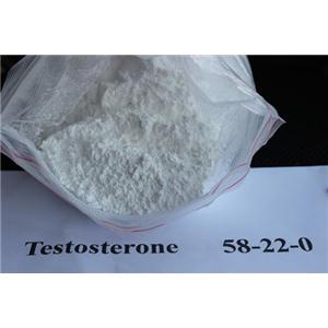 Testosterone Base