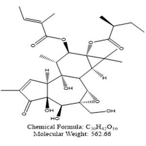 (1cS,2aR,3S,3aS,6bR,7R,8R,8aS)-3,3a,6b-trihydroxy-2a-(hydroxymethyl)-1,1,5,7-tetramethyl-8a-((2-methylbutanoyl)oxy)-4-oxo-1a