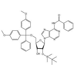 5’-O-DMT-2’-O-TBDMS-N6-Acetyl-Adenosine