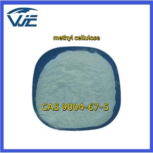 methyl cellulose