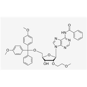 5'-O-DMT-2'-O-(2-methoxyethyl)-N6-Adenosine
