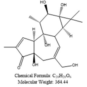 (1aR,1bS,4aR,7aS,7bS,8R,9R,9aS)-4a,7b,9,9a-tetrahydroxy-3-(hydroxymethyl)-1,1,6,8-tetramethyl-1,1a,1b,4,4a,7a,7b,8,9,9a-decahydro-5H-cyclopropa[3,4]benzo[1,2-e]azulen-5-one