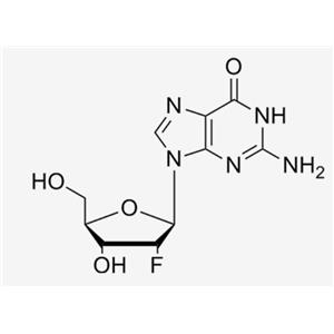 2'-F-2'-deoxyguanosine；2‘-F-dG