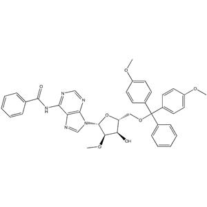 5'-O-DMT-N6-Benzoyl-2'-OMe-Adenosine